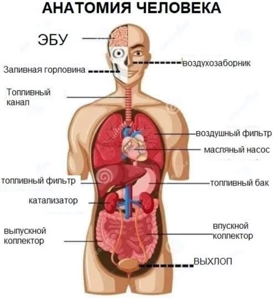 NdO7VgAL-d4.webp