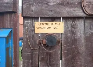 56765.webp