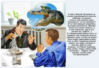 13 кроко подп.webp