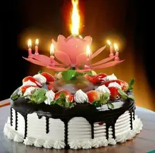 IMG_20211229_200831.webp