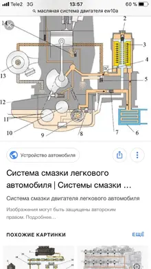 AA0B3AA7-6963-43DD-B449-C1B5E11C9DBC.webp