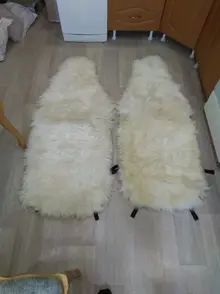 tmp-cam-1369882321121585071.webp