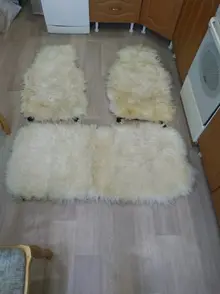 tmp-cam-8719072405094465624.webp