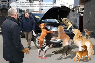 Запах Ах-.webp